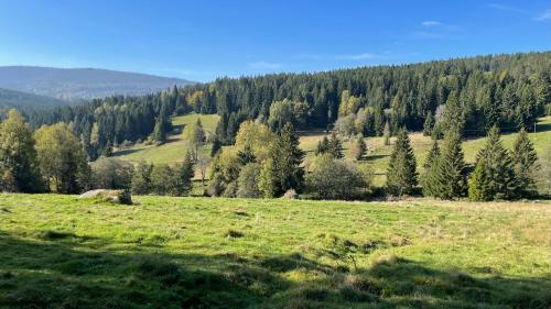 a field with green grass and trees in the background at Apartmán D5 Nová Pec in Nová Pec