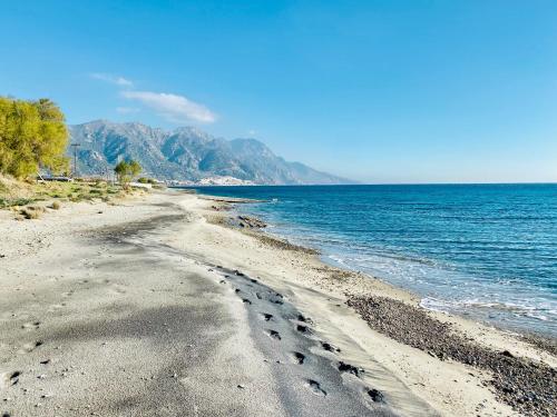 a beach with footprints in the sand and water at Marmaraki Village House & Apartments in Kardamaina