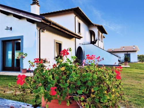Agriturismo PIAN DEL GRANO Azienda agricolaにある庭