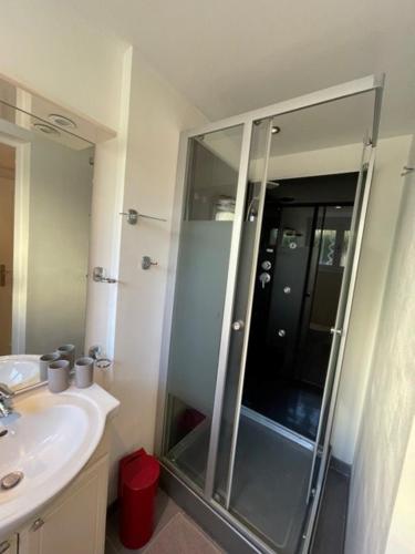 une salle de bain avec douche et lavabo dans l'établissement Villa Madhi - Piscine privée, à LʼIsle-sur-la-Sorgue
