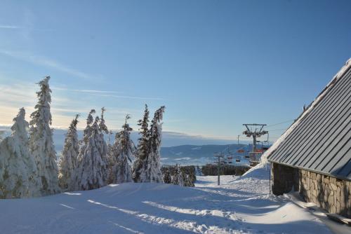 a snow covered mountain with trees and a building at Apartman Masaryk in Lipova Lazne