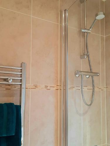 a shower with a glass door in a bathroom at Willow Lodge Auchterarder in Auchterarder