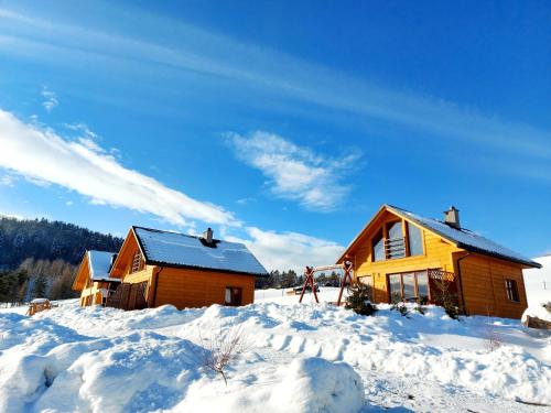 a log cabin in the snow with snow at Domki pod Bukowym lasem in Wańkowa