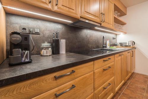 a kitchen with wooden cabinets and a counter top at Vinoza - ubytování a vinný sklep Velké Bílovice Rulandová in Velké Bílovice