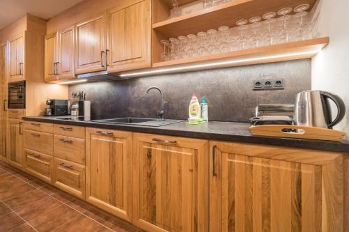 a kitchen with wooden cabinets and a sink at Vinoza - ubytování a vinný sklep Velké Bílovice Rulandová in Velké Bílovice