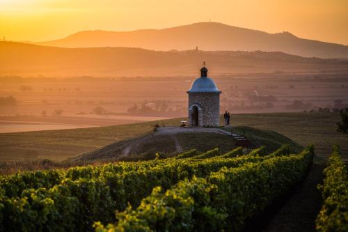 Vinoza - ubytování a vinný sklep Velké Bílovice Rulandová