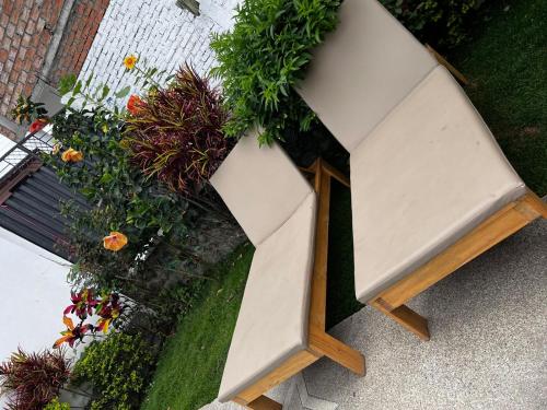 an overhead view of a bench and some plants at Hostel las Palmas in Vilcabamba