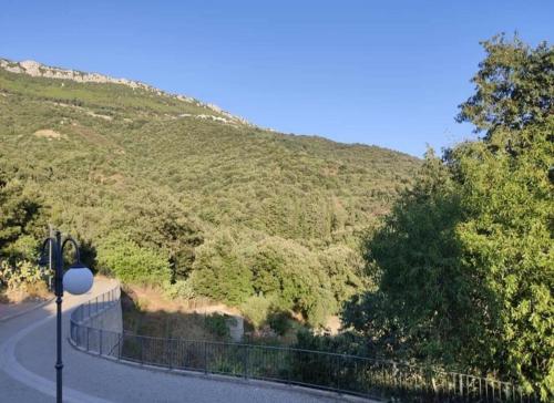 a winding road on a hill with a fence at Sa Dommu 'e su coro in Triei
