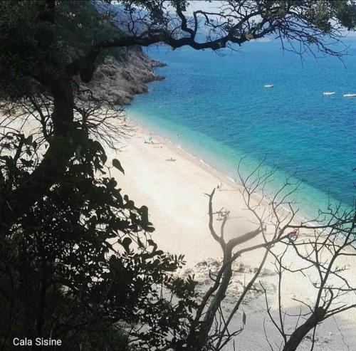 a view of a sandy beach with the ocean at Sa Dommu 'e su coro in Triei