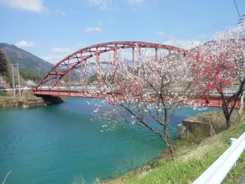 旅館の近くで見られる自然の景観