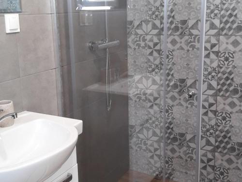 a bathroom with a shower and a sink at La Paloma - Lux Houses in Kolczewo in Kołczewo