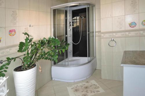 a bathroom with a shower and a potted plant at holiday home, Kolczewo in Kołczewo