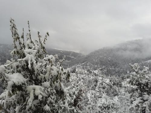 a snow covered hillside with trees and mountains at juSTa Mukteshwar Retreat & Spa in Mukteswar