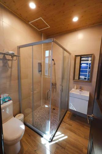 a bathroom with a shower with a toilet and a sink at 墾丁藍洞青旅 Blue Hole Backpacker Inn in Hengchun South Gate
