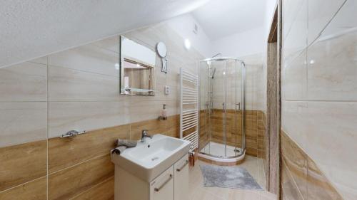 a bathroom with a sink and a shower and a toilet at Na starém městě Volary in Volary