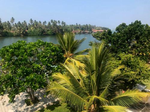 an aerial view of a river with palm trees at Villa Riverside in Aluthgama