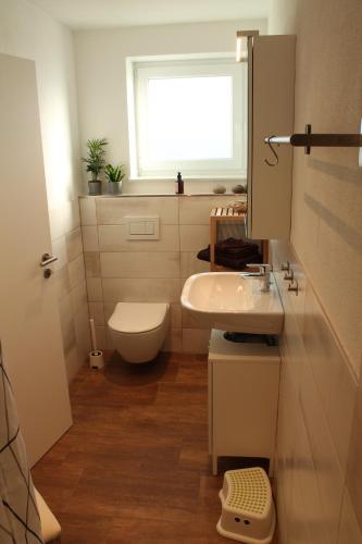 niewielka łazienka z umywalką i oknem w obiekcie Ferienwohnung Andergasse w mieście Neustadt an der Weinstraße