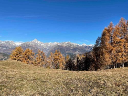 a hill with trees and mountains in the background at Appartement for Holiday Lodge 1891 in Stalden