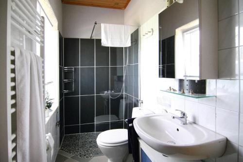 ein Badezimmer mit einem weißen WC und einem Waschbecken in der Unterkunft Apartment, Vogelsang-Warsin in Vogelsang