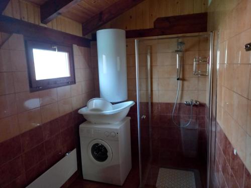 a bathroom with a shower and a sink at Black Sheep Apartmant in Lenti