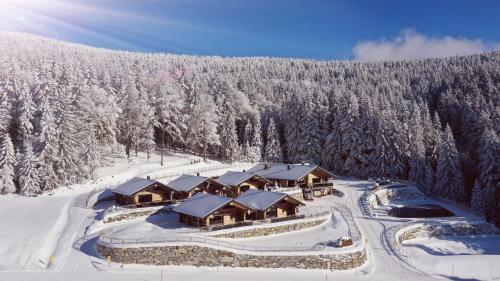 Blockhausen Luxus Chalets