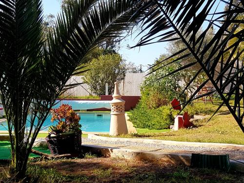 Elle offre une vue sur un jardin doté d'une fontaine et d'une piscine. dans l'établissement RO-Piscine chauffée, Bénagil-Carvoeiro, à Carvoeiro