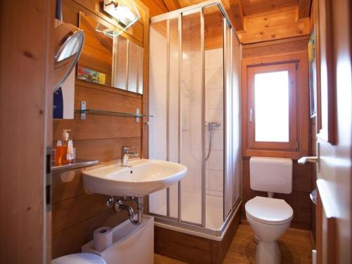 a bathroom with a sink and a shower and a toilet at Blockhäuser in Stamsried in Stamsried