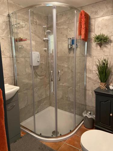 a shower with a glass door in a bathroom at Rathjarney Gatelodge in Wexford