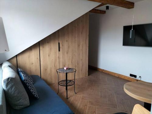 TV a/nebo společenská místnost v ubytování Uroczy apartament w centrum Krakowa