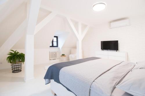 um quarto branco com uma cama e uma televisão de ecrã plano em U Zlaté hvězdy apartmán Broggio em Litoměřice