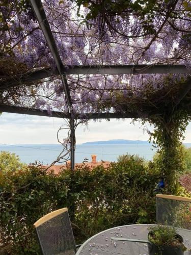 Kvarner Vista Apartment Hana