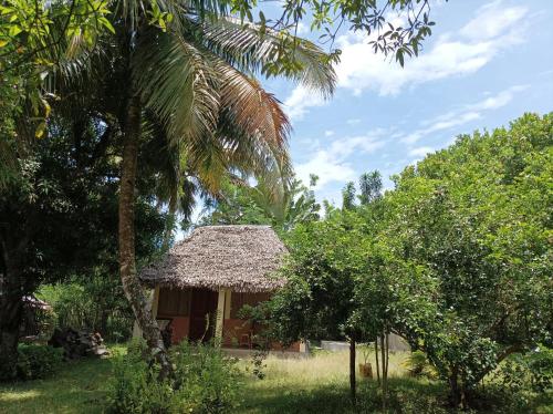Onja Surf Camp في Mahambo: كوخ صغير بسقف من القش وأشجار