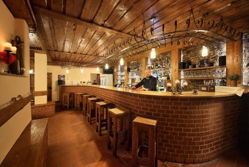 Lounge nebo bar v ubytování Záviš z Falkenštejna
