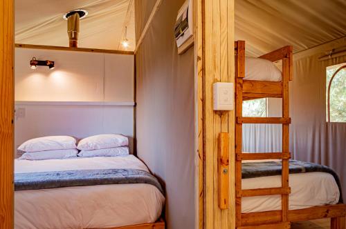 a bedroom with two bunk beds and a ladder at AfriCamps at Mackers in Hazyview