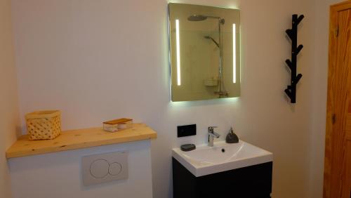W łazience znajduje się umywalka i lustro. w obiekcie La Tanière des Loups w mieście Herbeumont
