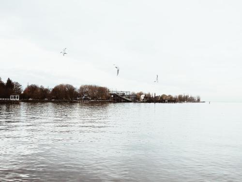 Ferienwohnung Bregenz 8 top 1 – Photos 4