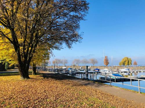 Ferienwohnung Bregenz 8 top 1 – Photos 5
