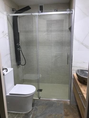 a bathroom with a shower with a toilet and a sink at APARTAMENTO EN CANFRANC ESTACION in Canfranc-Estación