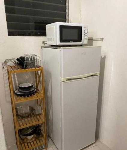 eine Mikrowelle auf einem Kühlschrank in der Unterkunft Appartement Orchidée 2 in Fort-de-France
