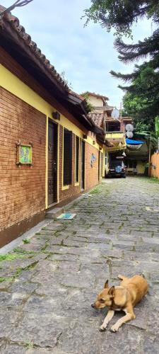um cachorro deitado na rua ao lado de um prédio em Chales praias de Ubatuba em Ubatuba