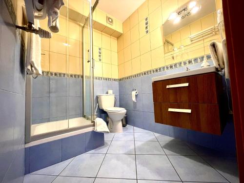 a bathroom with a toilet and a shower and a sink at Hotel Dowhań in Nowe