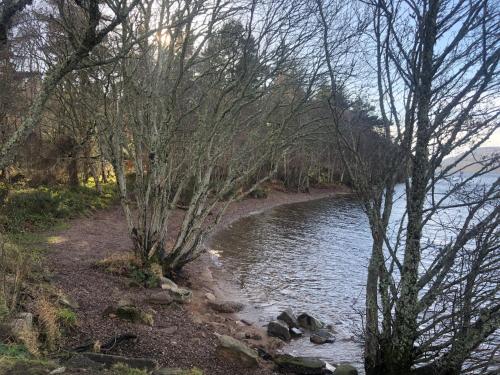 a river with trees on the side of it at Foresters Lodge bed and breakfast, near loch ness in Inverfarigaig