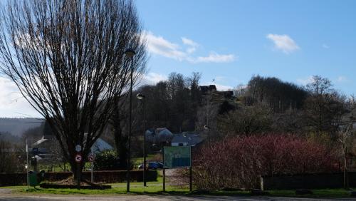 a tree on the side of a street at La Tanière des Loups in Herbeumont