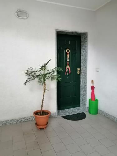 eine grüne Tür mit einer Topfpflanze davor in der Unterkunft Casa Dana Andora in Marina dʼAndora