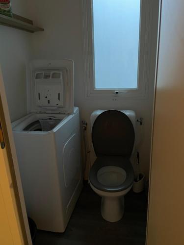 a small bathroom with a toilet and a sink at Mobil home Domaine de Kerlann in Pont-Aven