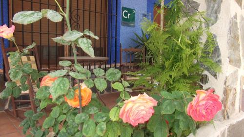un gruppo di rose rosa e arancioni di fronte a una porta di Casa Rural Mi Campo a Fenazar