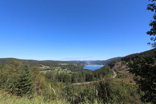 Blick auf einen See von der Spitze eines Hügels in der Unterkunft H&P Touristik Residenz Grafenmatt GRA-3-2 in Feldberg