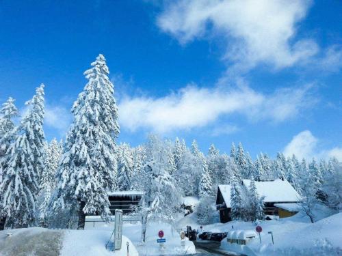 einen schneebedeckten Wald mit einem Haus und Bäumen in der Unterkunft H&P Touristik Residenz Grafenmatt GRA-3-2 in Feldberg