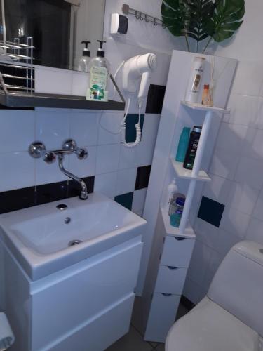 łazienka z umywalką i toaletą w obiekcie Noclegi Grota w mieście Jasło