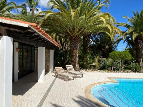 un complejo con piscina y palmeras en Adamah Vayu -Casa Serenida, en Loulé